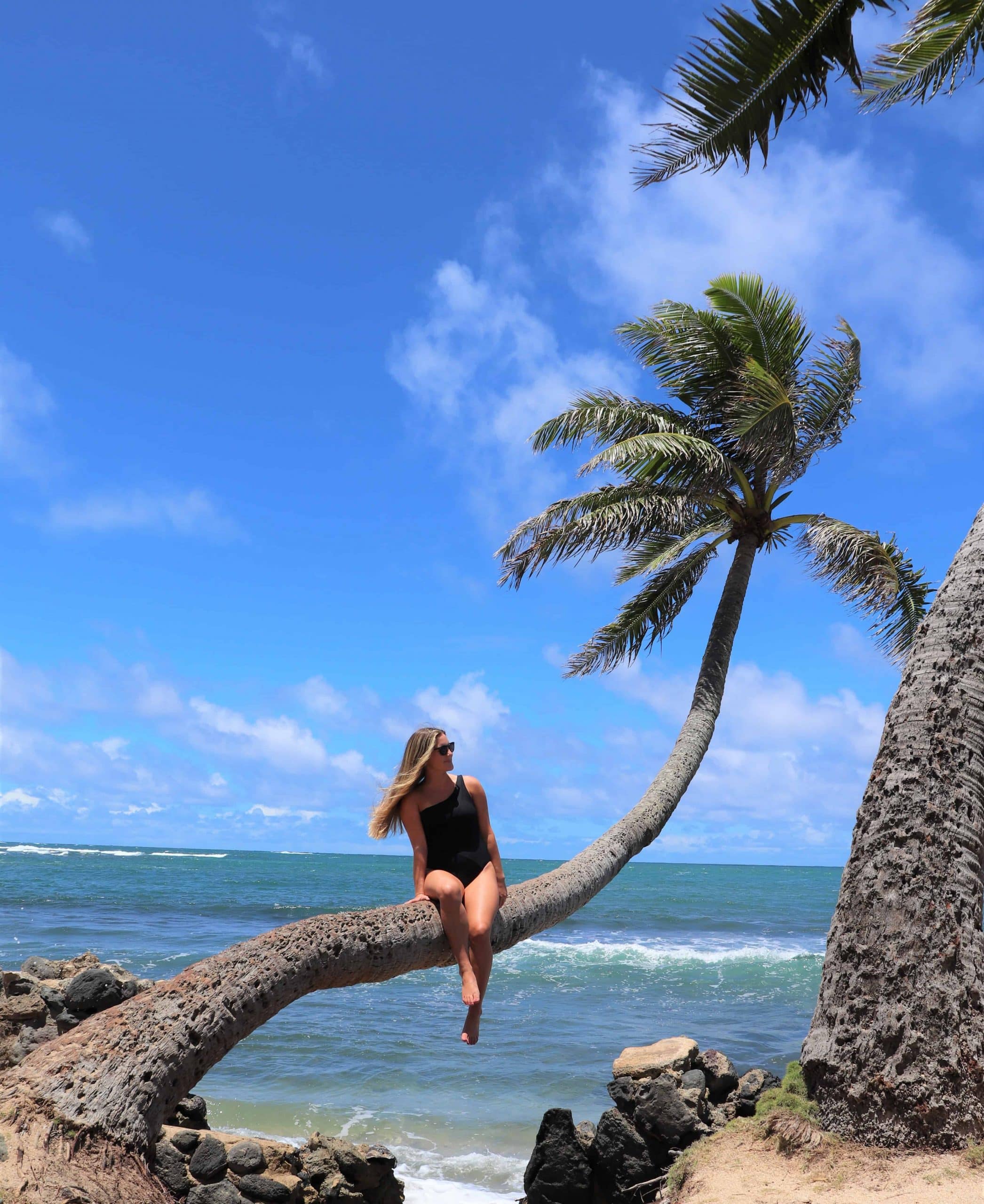 sideways palm trees hawaii