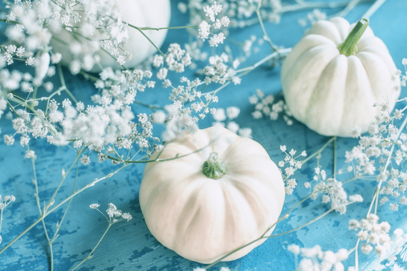 DIY coastal pumpkin ideas
