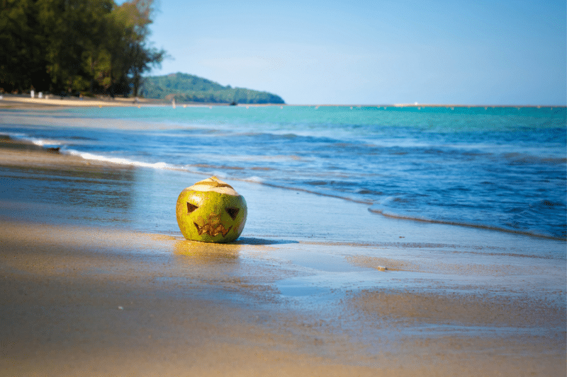 beach Halloween decor ideas